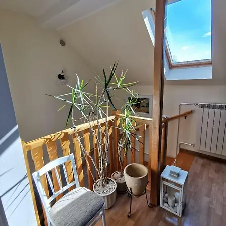 Villa Kwiatowe Zacisze Przeciszow